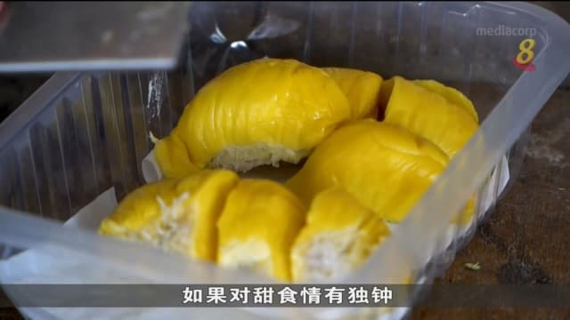 马来西亚柔佛州榴梿之乡 阔别两年复办榴梿团