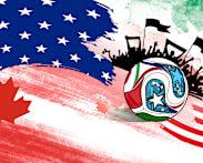 How far will you go to support your team’s World Cup dream? | Interactive