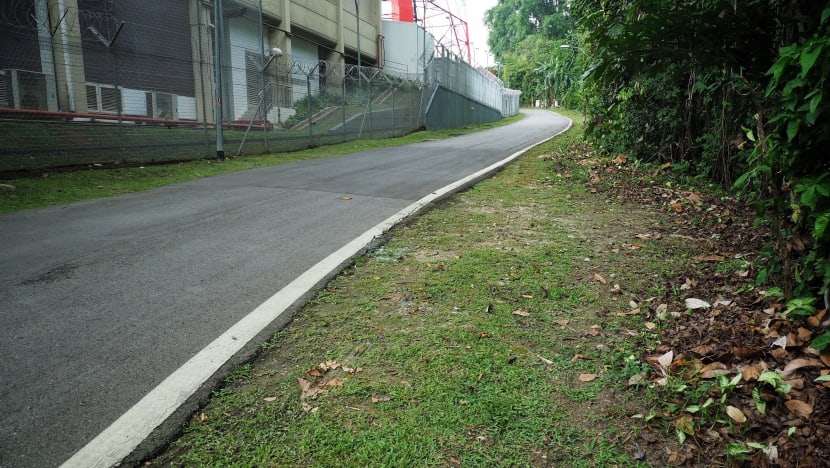 Woman and child found dead near Bukit Timah Nature Reserve