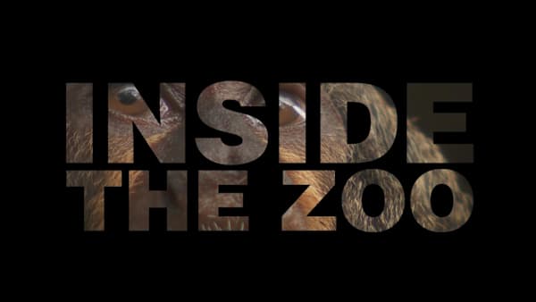 On The Red Dot: Inside The Zoo