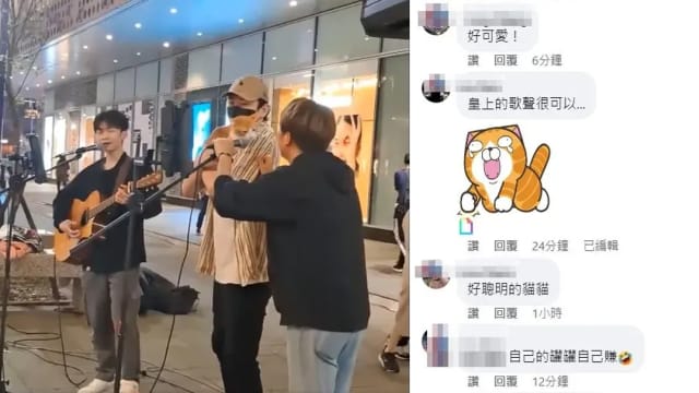 自己的罐头自己赚！猫咪“卖艺”献唱《学猫叫》萌翻网友