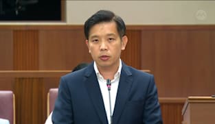 Alvin Tan on managing free-roaming dogs in Singapore