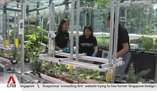 From cellulose batteries to upcycling soybean waste, 14 individuals receive NEA's EcoFriend Awards