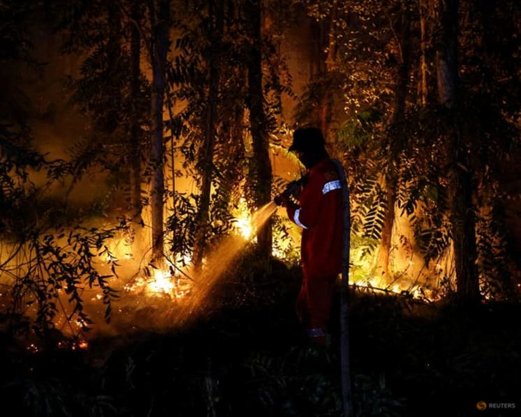  Indonesia’s forestry ministry processes 42 forest fire cases, sanctions six companies 