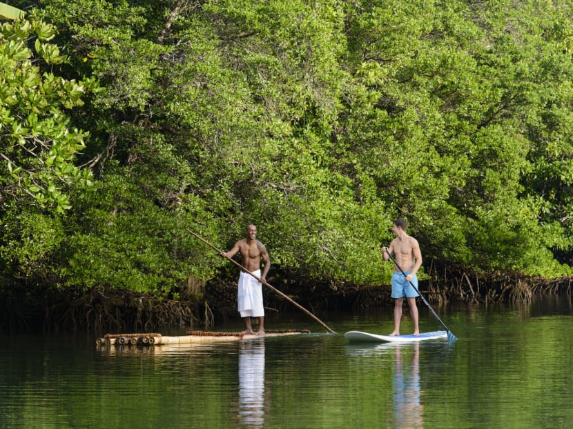 Of bulas and bull sharks