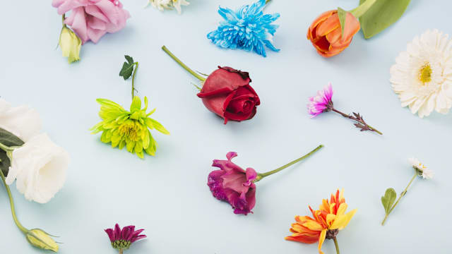 如果职场是一座百花园，你会是哪一朵？