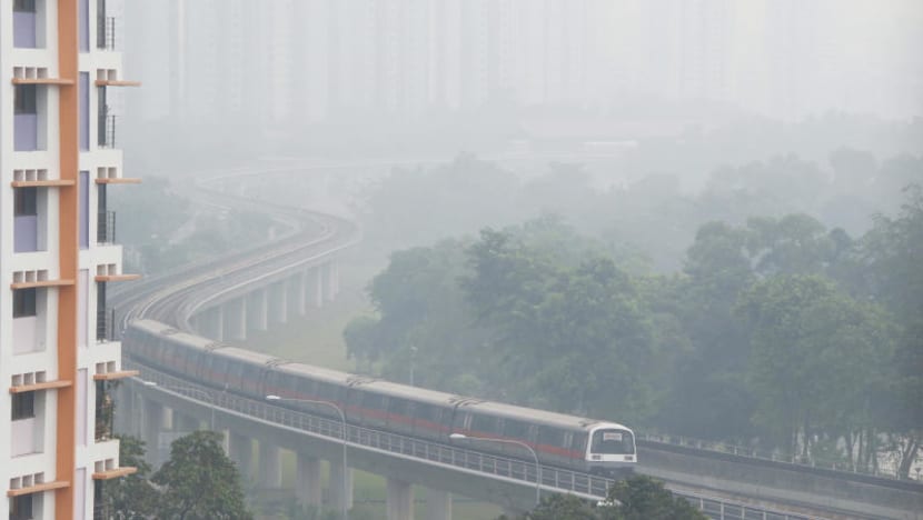Haze in 2015 disrupted S’pore’s wildlife: Study