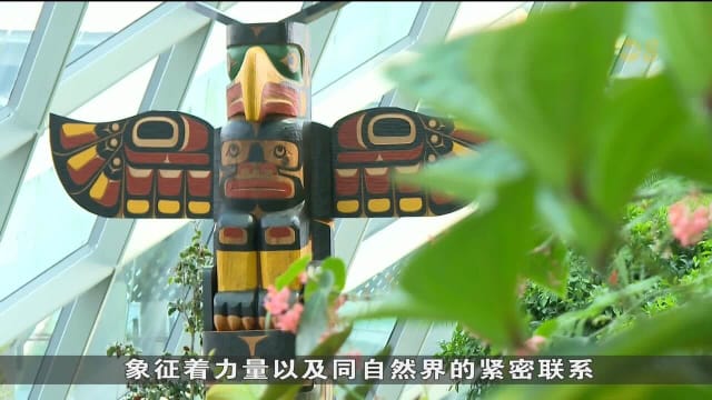  为庆祝两国建交60周年 滨海湾花园迎来首歌雷鸟图腾住