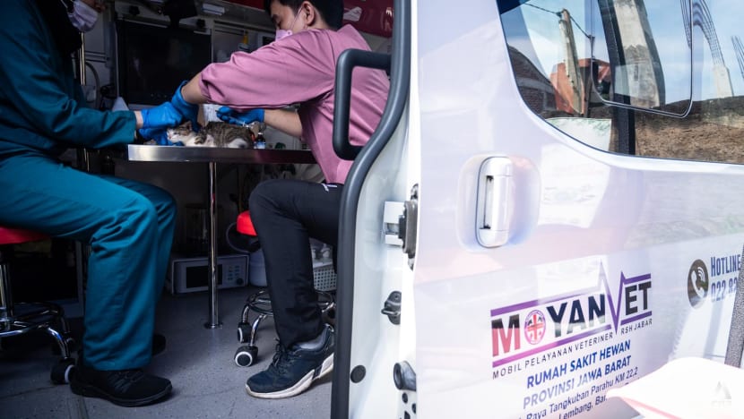 Why is Jakarta rolling out mobile animal doctors and will it be a game-changer for pet owners? Why is Jakarta rolling out mobile animal doctors and will it be a game-changer for pet owners?
