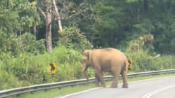 Related article image