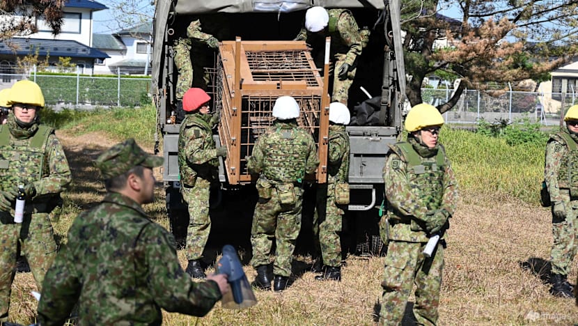 Japan sends troops to combat deadly wave of bear attacks