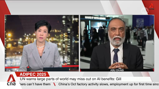 AI widening divide between the haves and have-nots: UN Special Envoy Amandeep Singh Gill