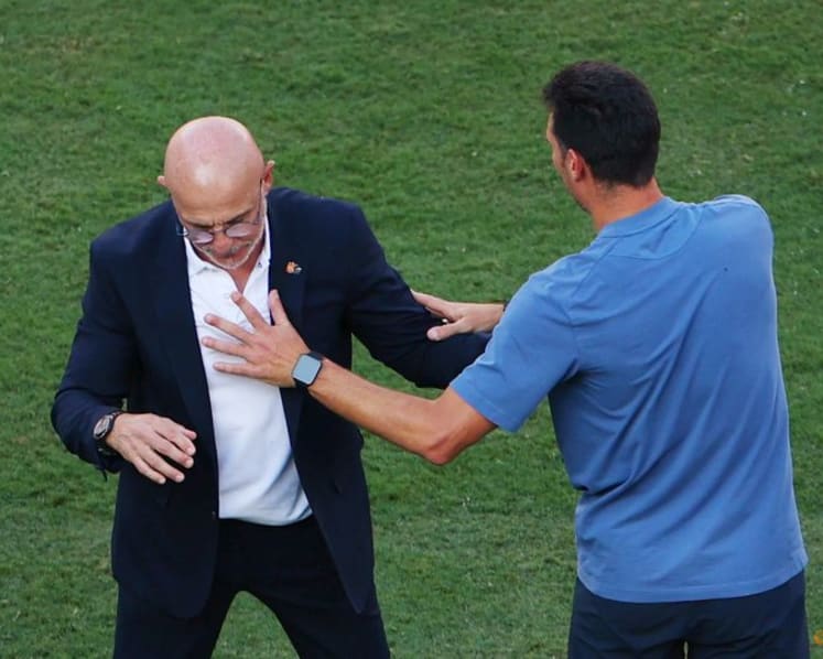 Argentina's behaviour at World Cup final 'intolerable', says Spain coach De la Fuente