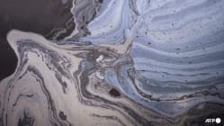 Related article image