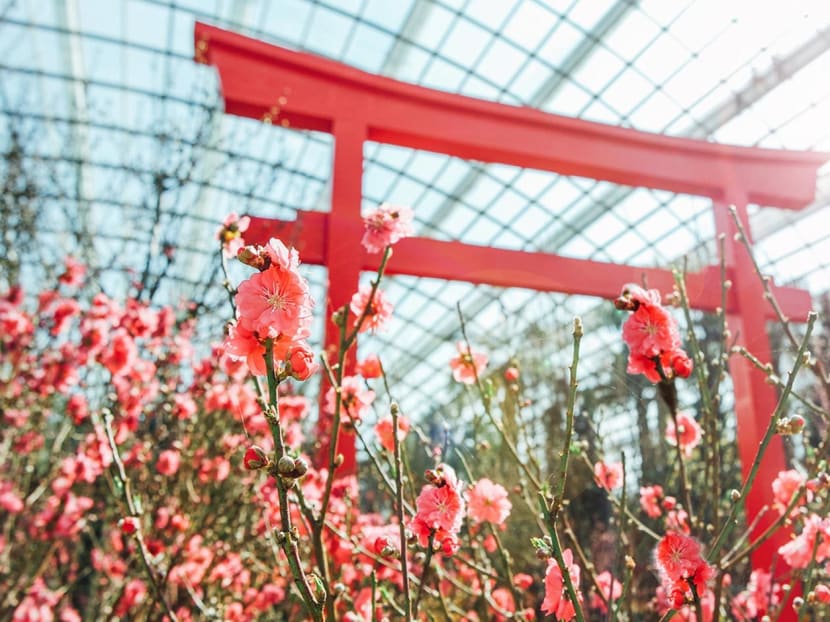 Photo: Gardens by the Bay
