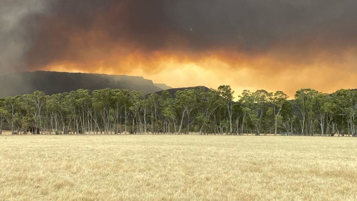 Out-of-control Australia bushfire will burn for days, officials say