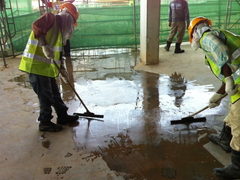 Greater focus on mosquitoes breeding at construction sites