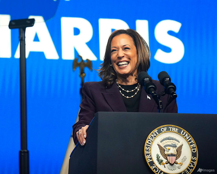 Harris likely to raise issues of immigration, economy at Democratic National Convention: Analysts