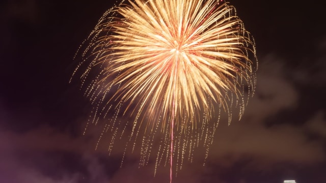 北京今年春节继续执行全面禁止燃放烟火爆竹规定