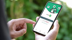 Related article image
