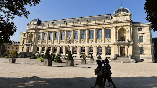 涉及国家自然历史博物馆黄金盗窃案 中国籍女子被法国当局逮捕