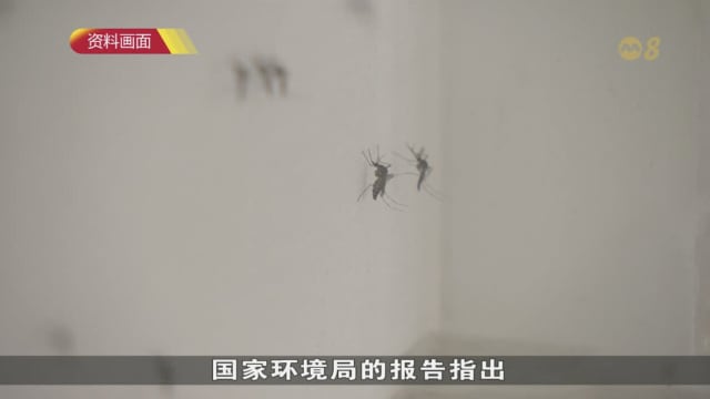 本地骨痛热症病例破3000起 仙人掌通道成最严重黑区
