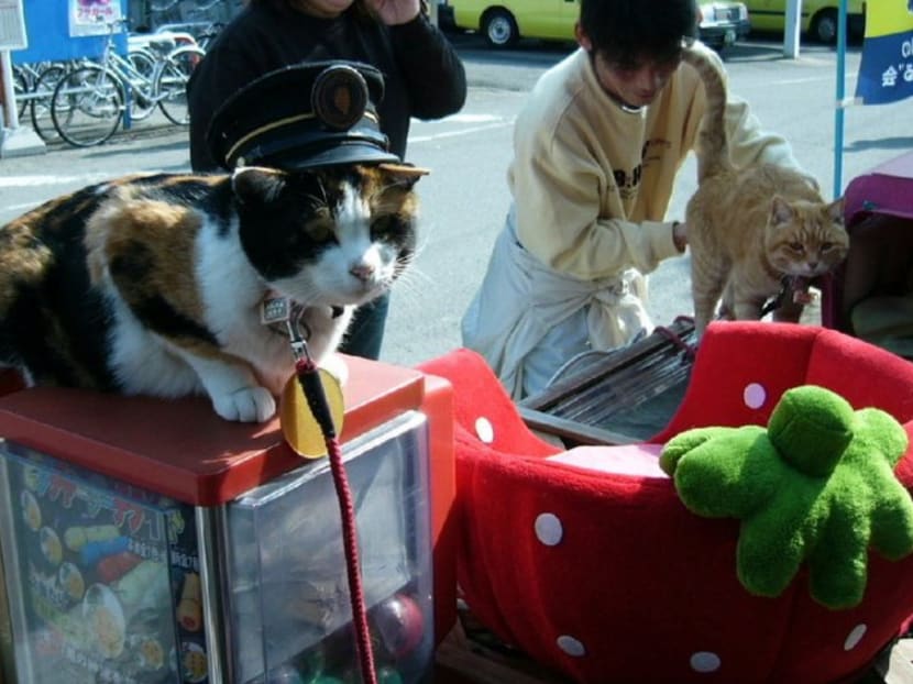 Japan mourns passing of Tama, the cat station master