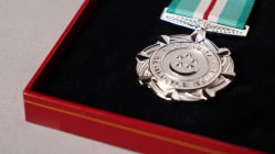 Related article image