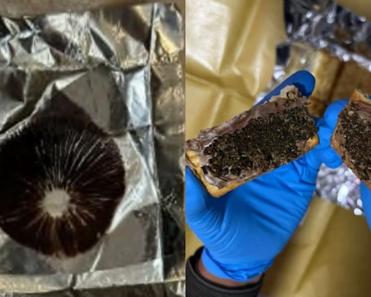 Mother and her son and daughter among suspects arrested in anti-drug operation