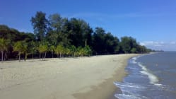 Related article image