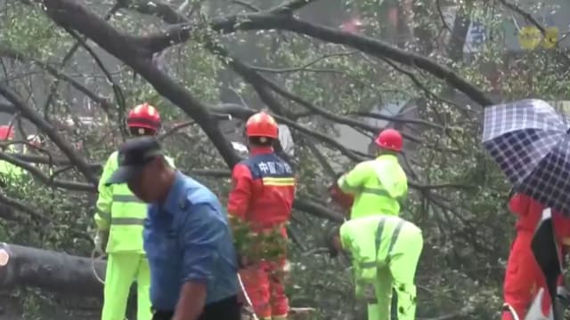 台风韦帕预计明天清晨冲击越南 导致数十趟航班取消或改期