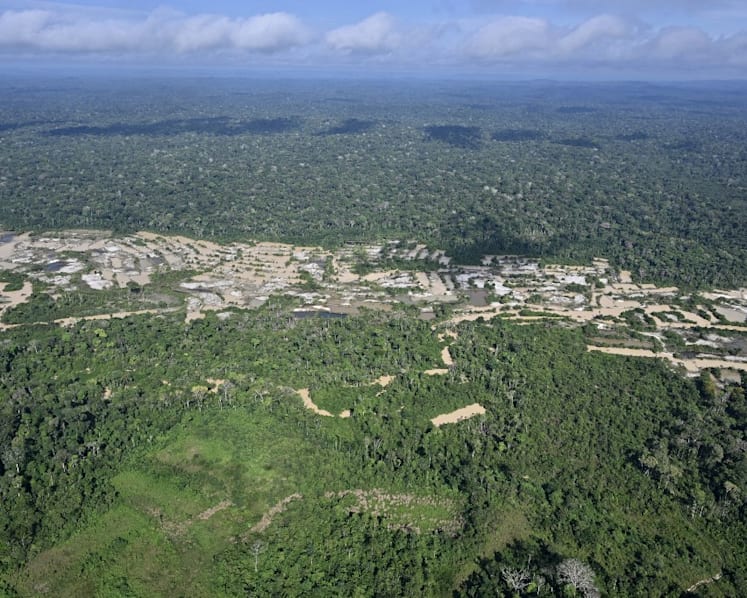 Brazil's natural areas shrink, worsening El Nino impact