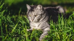 Related article image