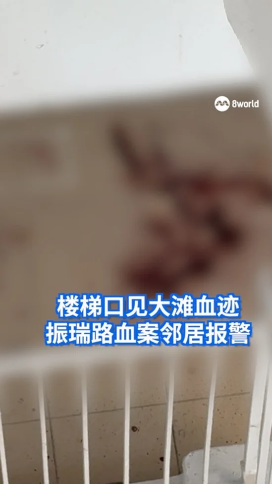 1108_ ChinSweeFight_HD