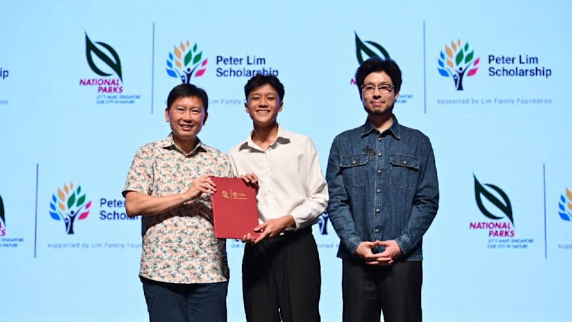 Related article image