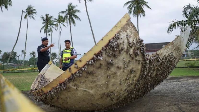 Gambar Pilihan Hari Ini