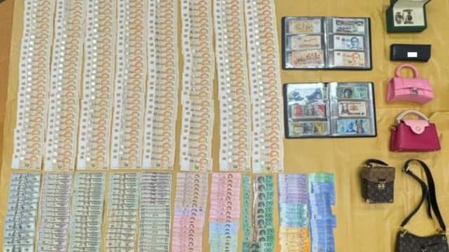 涉嫌破门行窃偷走逾11万7000元财物 两名男子被捕