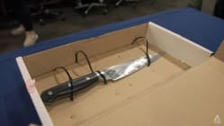 Related article image