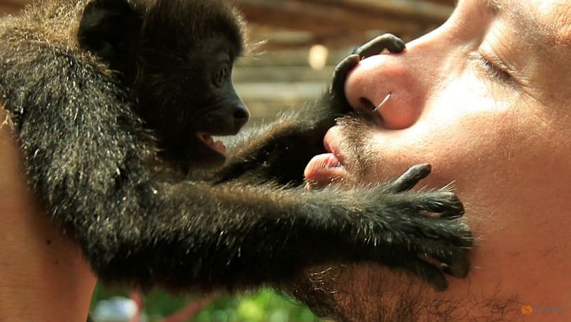 First kiss was 20 million years ago by early primates, scientists say