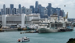 Cruise boom keeps Singapore's marine and port services busy