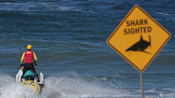Popular Sydney beach deploys drones, helicopter after fatal shark attack