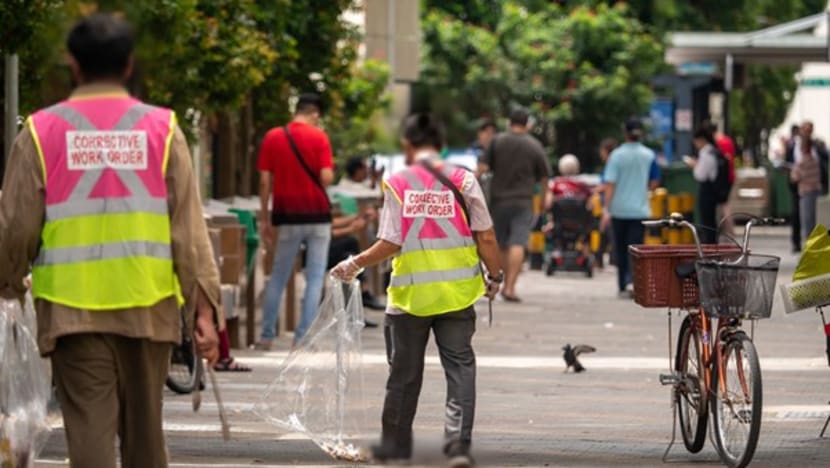 Singapore may publicise images of litterbugs to catch offenders Singapore may publicise images of litterbugs to catch offenders