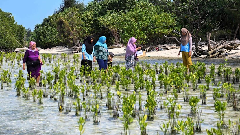‘Ini rumah kami’: Perjuangan perempuan Pulau Pari di tengah pusaran sengketa lahan