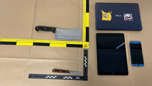 玛格烈通道伤人案 20岁嫌犯无前科单独行动