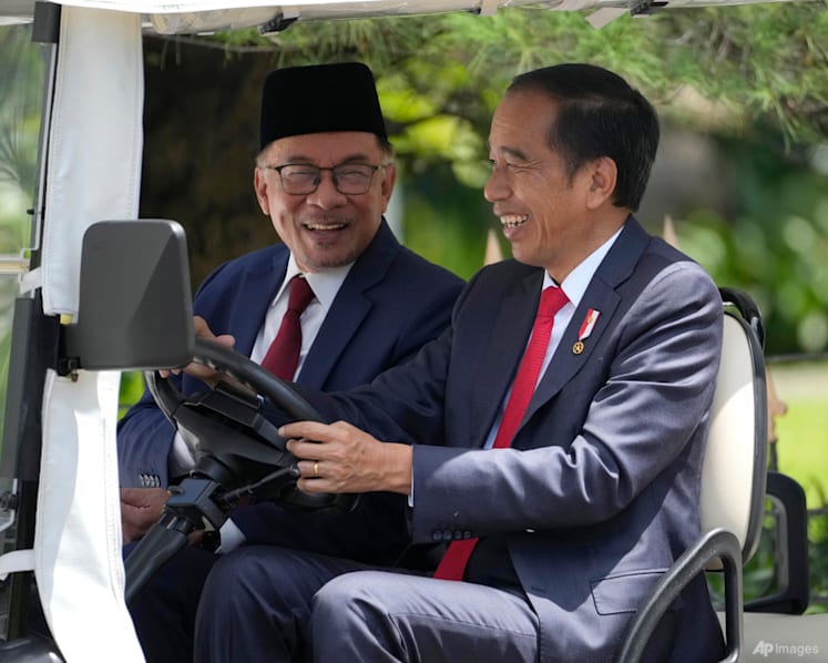 New Indonesia capital will benefit Borneo states: Malaysia PM Anwar during first overseas official visit