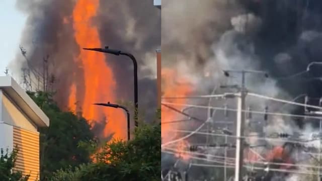 伦敦东部车站附近大火 多条铁路一度停摆