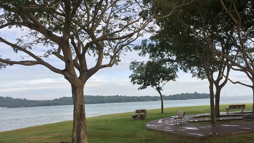 Paras air laut S'pura kini purata 14sm lebih tinggi daripada sebelum 1970, menurut MSS