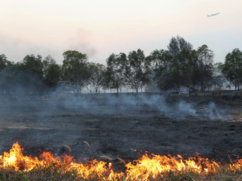 Four vegetation fires reported around Singapore