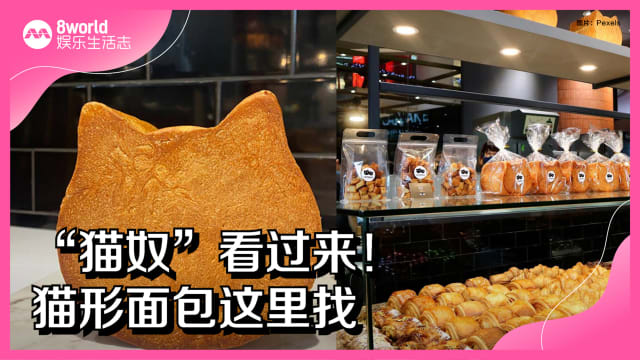 “猫奴”看过来！猫形面包这里找