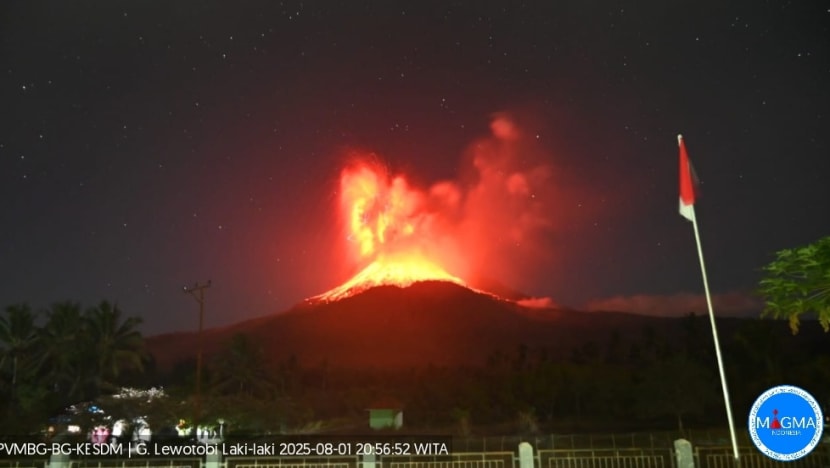 Indonesia's Mount Lewotobi Laki-laki erupts